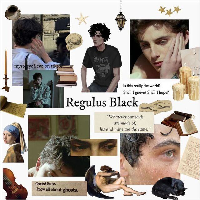 regulus_black