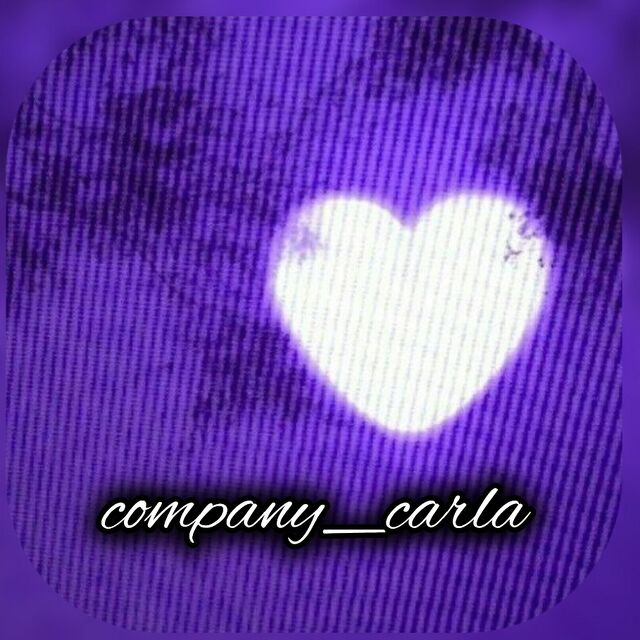 carla_company
