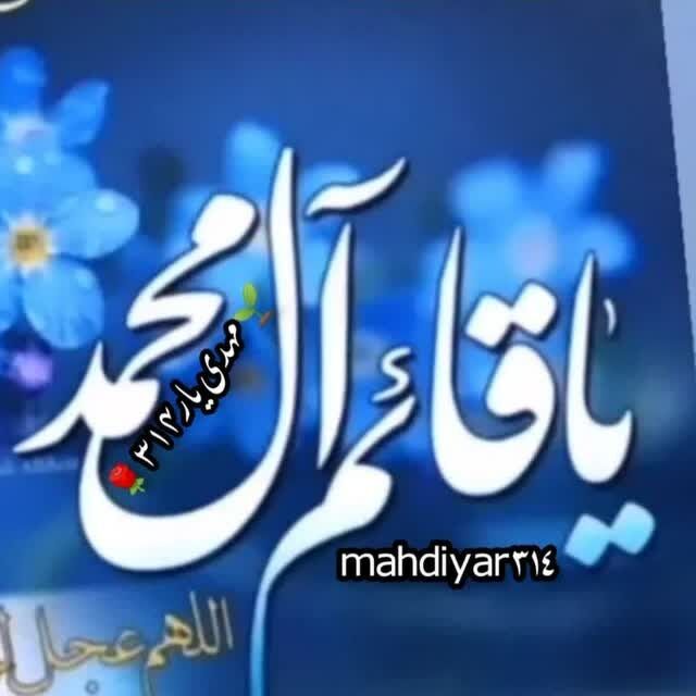 mahdiyar314