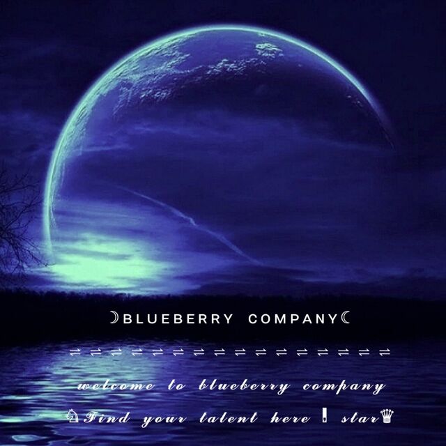 company_blueberry