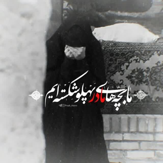 fereshteh_gholami