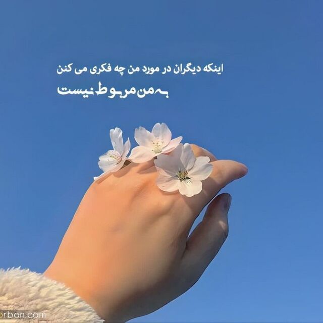 mandana_mzmz