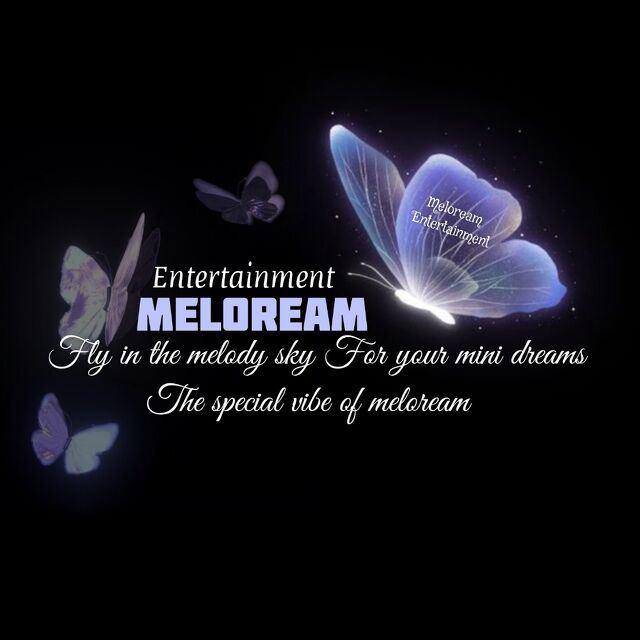 meloream_company