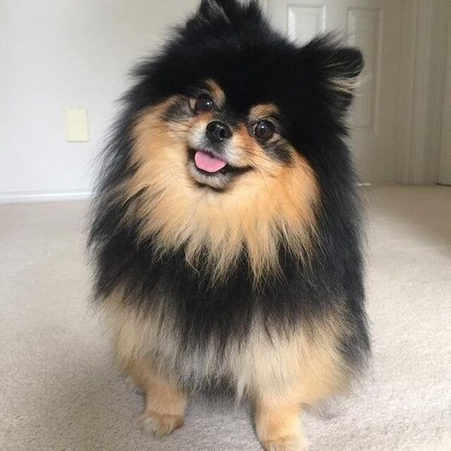 kim_yeontan